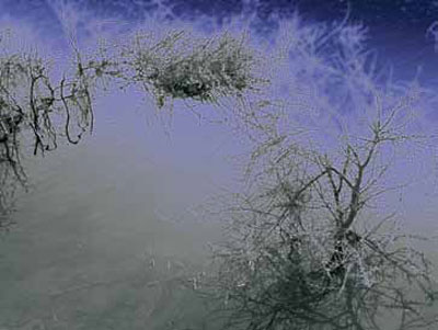 imagen de la serie ''lago''