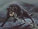 Ilustración de el Perro Negro